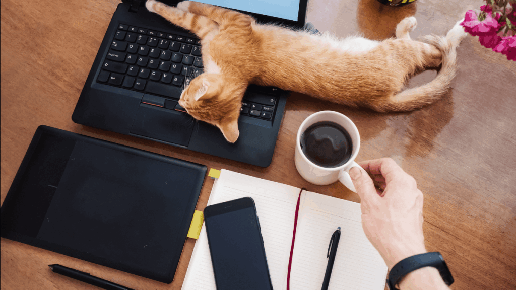 A cat laying across laptop with a person drinking coffee, and a notebook, symbolizing how an organized email marketing strategy makes things simple and relaxing